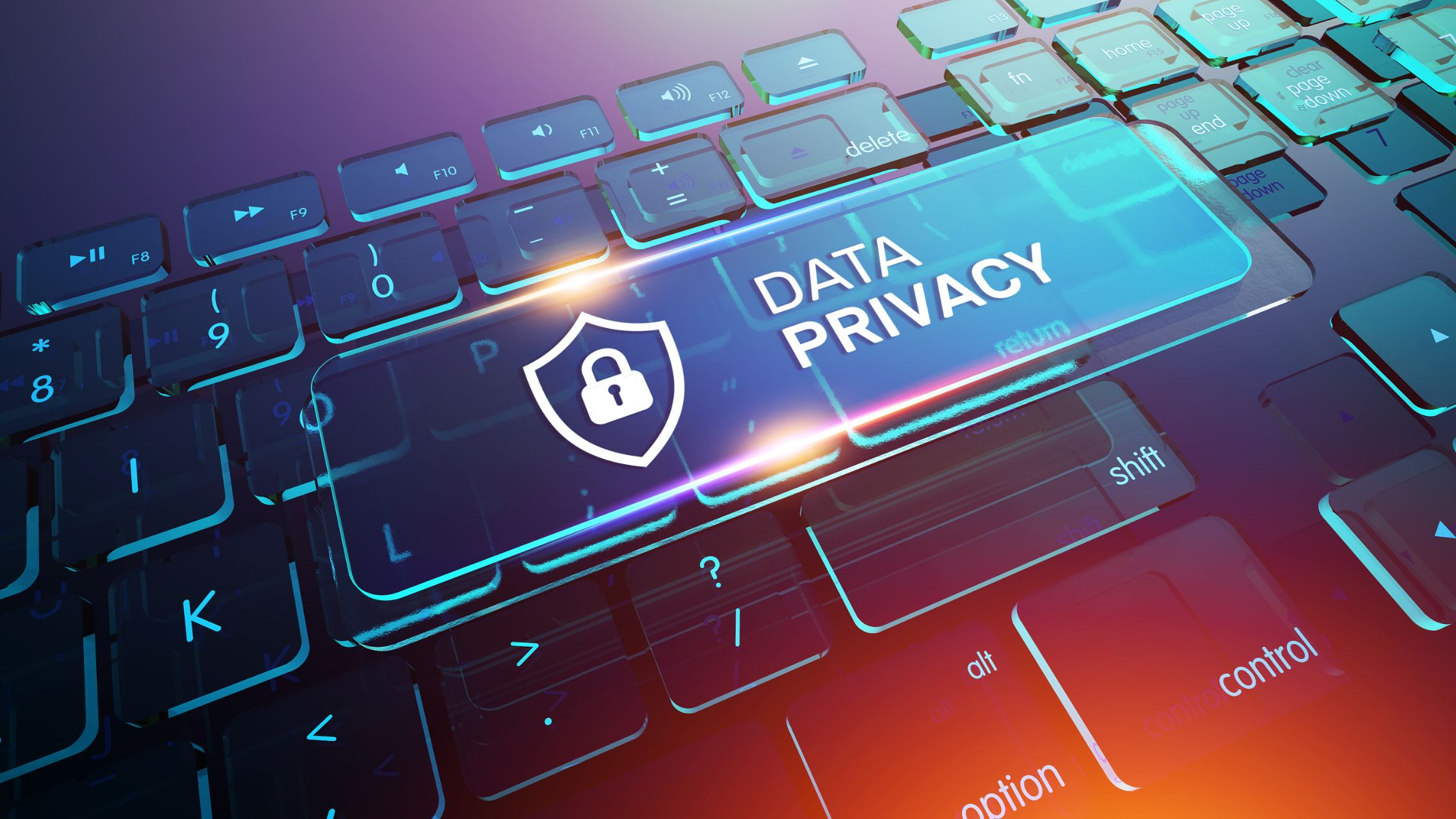 Importance of Data Privacy